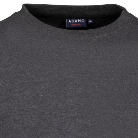 Adamo Duża Bluza Szara